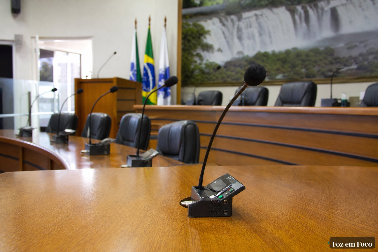 Câmara de Foz analisa vetos do prefeito a projetos sobre abelhas e intolerância religiosa