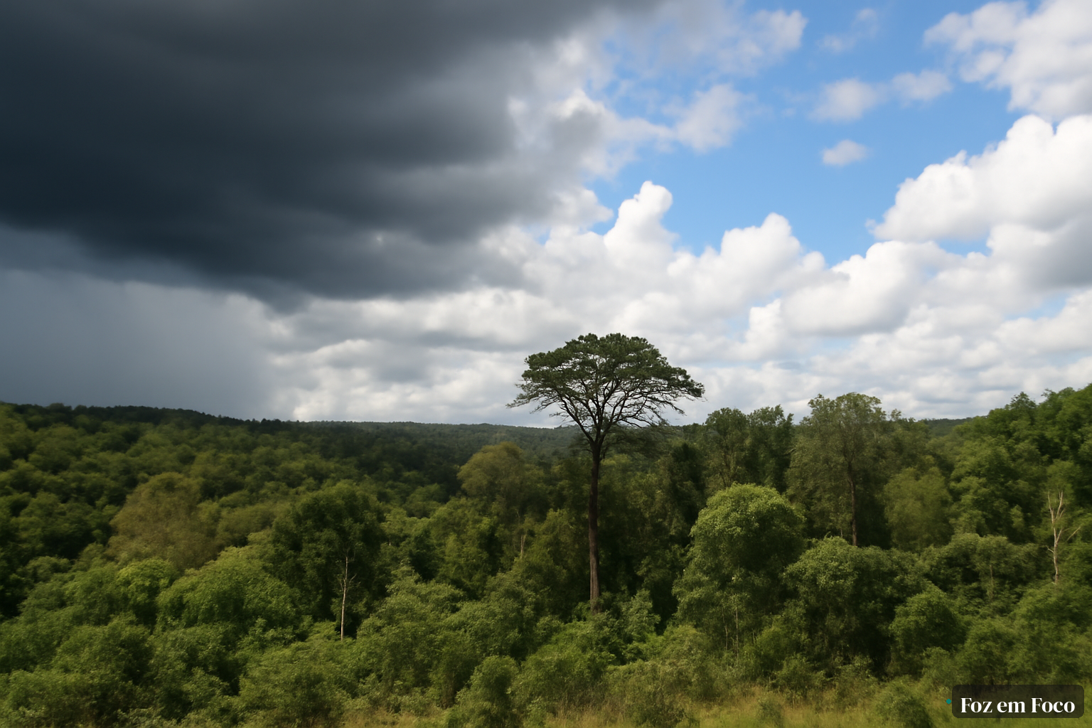 Especialista alerta sobre importância de informação ante El Niño em Misiones